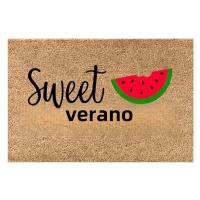 Alfombra De Puerta No Eslipiente Para Verano 40x60cm Decorativa Con Diseño deBienvenida Alfombra De Baño Y Entrada De Bajo Perfil - details 4