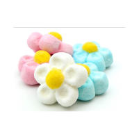 Bolsa de Margaritas de Nubes Gominola Surtidas 500g Sin Gluten - details 0