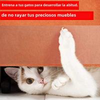 Cinta Protectora Para Muebles Anti-Rasguños Para Gatos 3/5/10M Transparente Para Sofá Silla Alfombra Puerta Protector De Muebles Seguro Para Entrenamiento De Gatos - details 13