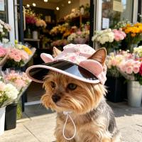 Gorro De Pescador Para Perros Y Gatos Con Agujeros Para Oídos Protección Solar Ajustable Gorro De Verano Para Mascotas Accesorios Para Mascotas - details 0