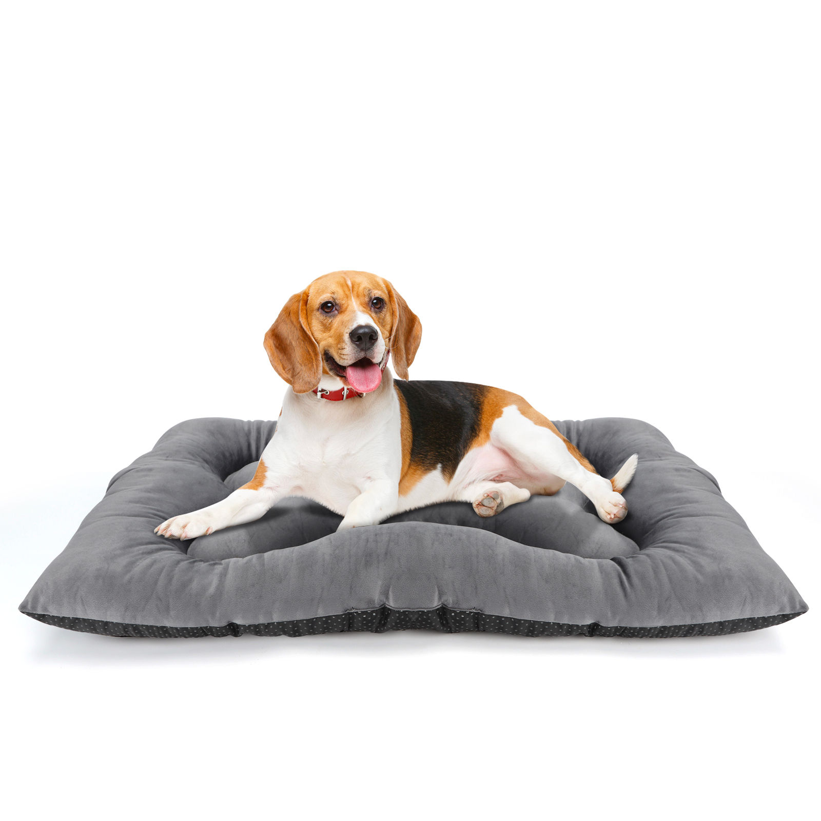 Nobleza - Cama Para Perro Medianos, Colchoneta Para Perros, Cojín Suave Para Gatos Y Perros
