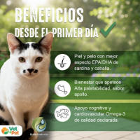 BioActive - Longevia Gatos Antiedad Integral | Vitalidad, articulaciones y defensas - 60g - details 1
