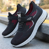 Imagen principal 29.jpg