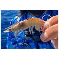 JLC Montaje Técnica Tenya Cebo Natural Jigging Glow - details 0