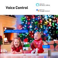 Luz De Fairy Globe Inteligente WiFi BLE 33 Bulbs Para Exterior RGB Decoración De Jardín Y Boda Con Control Por Alexa Google - details 7