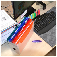 Office Box Bastidor Organizador de Escritorio con 10 Carpetas Colgantes de Colores y Tarjeta Identificadora - details 1