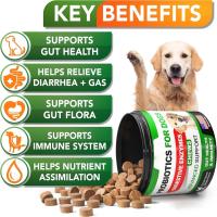 Suplemento probiótico premium para mascotas – Equilibra la flora intestinal, mejora la digestión y fortalece las defensas - details 1