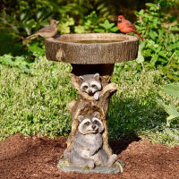 Bañera De Pájaros De Resina Raccoon Estilo Antiguo Para Jardín Animal Escultura Ornamento Para Casa Y Jardín Material Poliresina - details 1