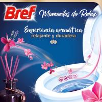 BREF Desinfectante WC Power Activ colgador Momentos De Relax Armonía Pack ahorro de 3 blister - details 2