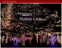 Decoraciones De Navidad 2024 Luces LED Para Exterior Cerca De Atracciones Luz De Jardín Cadena De Luces Impermeable Estrella Para Árbol - details 0