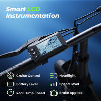 Bicicleta eléctrica plegable EB1, bicicleta urbana inteligente de 14 pulgadas, con asistencia al pedaleo, pantalla LCD inteligente, batería de 36 V y 7,8 Ah, freno de disco doble - details 1