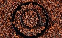 Café Santo Domingo 100% Puro Cafe Molido Coffe 1 LB (453.6G) - details 1