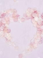 200Pcs/Bag Organza Rosas Artificiales Pétalos Para Accesorios De Boda Decoración Romántica Rosa Blush Hechos a Mano - details 0
