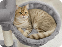 Feandrea Árbol para Gatos, Torre de Juegos con 2 Camas Grandes, Postes Rascadores y Rampa, 85,8 cm de Altura, Gris Paloma/ Gris Oscuro/ Beige Arena - details 4
