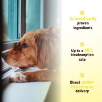 Complemento nutricional para los ojos de perros - details 6