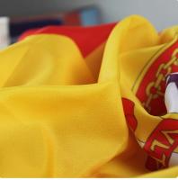 MEJORADA TS-2240 Bandera de España 90x150CM - Alta Calidad en Poliéster, Resistente y Duradera, Ideal para Interiores y Exteriores, Decoración, Eventos y Fiestas - details 10