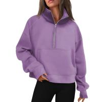 Nueva Sudadera De Mujer Con Capucha Cuello Erguido Otoño Invierno Color Sólido Fleece Manga Larga Bolsillos Cierre Media Pullover Suave - details 10