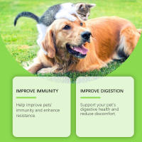Tabletas de Probióticos para Mascotas - Mejora la Salud Intestinal, Promueve la Absorción de Nutrientes, Suplemento de Cuidado Mascotas - details 4