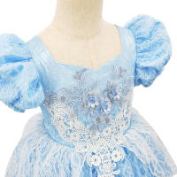 Disfraz de Cenicienta para niña, traje de princesa para fiesta de Halloween, Navidad, cumpleaños, boda, vestido bordado - details 21