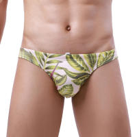 Calzoncillos de baño para hombre Bikini Traje de baño Verano sexy Surf Traje de baño de secado rápido Pantalones cortos de playa Ropa de playa - details 6