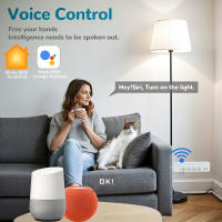 Enchufe Inteligente BORUIDAPLS Matter EU de 16A, Compatible con Google Home, HomeKit, Siri, SmartThings, Control Remoto por Voz, Control Independiente, Enchufe Multi-Puerto - details 2