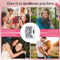 Encantos de Serie Zirconia de Plata Esterlina S925 100% Real para Mujeres Joyería Fina de Cumpleaños Ajuste a Pulsera y Bangle de 3mm - details 55