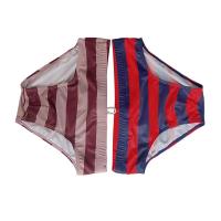 Jessborn-bañador a rayas para hombre y adulto, pantalones cortos de surf, sexy, ajustado, para playa, vacaciones, primavera caliente - details 7