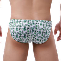 Calzoncillos de baño para hombre Bikini Traje de baño Verano sexy Surf Traje de baño de secado rápido Pantalones cortos de playa Ropa de playa - details 3