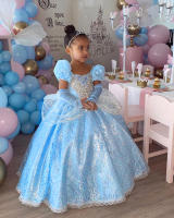 Disfraz de Cenicienta para niña, traje de princesa para fiesta de Halloween, Navidad, cumpleaños, boda, vestido bordado - details 11