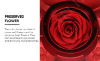 Osito de Rosa Preservada con Collar Personalizado – Regalo Romántico para Navidad, San Valentín, Cumpleaños y Día de la Madre - details 5
