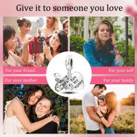 Encantos de Serie Zirconia de Plata Esterlina S925 100% Real para Mujeres Joyería Fina de Cumpleaños Ajuste a Pulsera y Bangle de 3mm - details 60