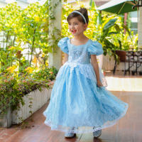 Disfraz de Cenicienta para niña, traje de princesa para fiesta de Halloween, Navidad, cumpleaños, boda, vestido bordado - details 2