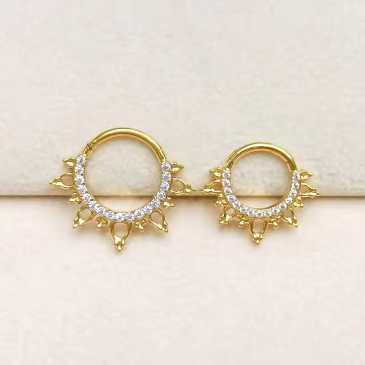 F136 anillos de titanio para la nariz, pendientes de aro de circonita para mujer, juego de joyería para Piercing de cartílago, hélice Daith Tragus Clicker - 1