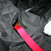 SMELL & SMILE Funda para Mascotas Coche Protector para Mascotas para Asiento de Coche Funda para Maletero de Coche Universal para Perros 130x137cm - details 8