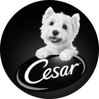 Cesar