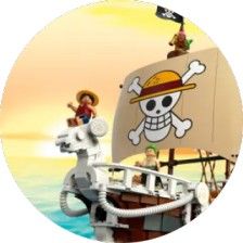 LEGO® One Piece
