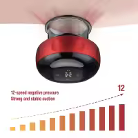 Masajeador eléctrico de terapia de ventosas,12 velocidades,calentamiento, respiración,masaje recargable,cuerpo,Guasha,Baguan - details 3