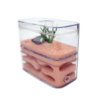 Nido de hormigas de yeso altamente hidratante, caja de insectos con taller, Castillo de hormiga para mascotas, casa de hormigas ecológica Natural, 12x6x10cm - details 0