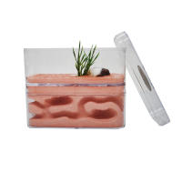 Nido de hormigas de yeso altamente hidratante, caja de insectos con taller, Castillo de hormiga para mascotas, casa de hormigas ecológica Natural, 12x6x10cm - details 1