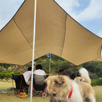 Vela de Sombra Impermeable Octagonal Grande 5.1x5.1m Venta de Campamento de Trompo de Sol para Jardín al Aire Libre Playa Turista - details 10