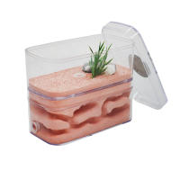 Nido de hormigas de yeso altamente hidratante, caja de insectos con taller, Castillo de hormiga para mascotas, casa de hormigas ecológica Natural, 12x6x10cm - details 2
