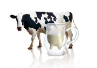 Taza creativa de vidrio de doble capa de vaca, jarra de leche encantadora, jarra de jugo, té, café, taza de vidrio transparente, jarra de Espumador de leche, 250ml - details 0