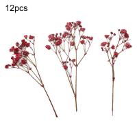 12 Uds ramos de Gypsophila moda colorida flor de Gypsophila seca ramos de flores secas realistas - details 5