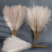 Vidor Pampas Bohemio Plantas Florales Artificiales para Decoración de Boda, Fiesta, Hogar - details 0