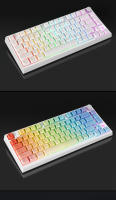Teclado de Juegos SKYLOONG GK75 HE Interruptor Rápido TKL 8KHz de Poling Rate Topográfica PBT - details 13