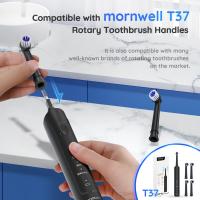 4 Uds A2729 cabezal de cepillo reemplazable para cepillo de dientes Mornwell T37 - details 5