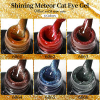 Parkson-esmalte de uñas de Gel magnético, 6 colores, 10ML - details 5