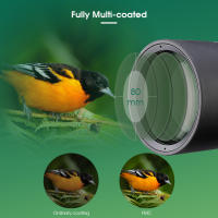 Telescopio SVBONY SV46P 20-60x80 ED con Doble Enfoque Impermeable y Antiniebla Equipamiento Profesional para Aves y Camping - details 7