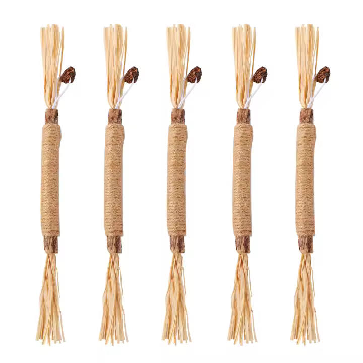 5 uds palo de burlas para gatos palo poligonum de madera hierba lafita palo Molar hierba gatera Limpieza de dientes de gato bastón de palo Silvervin - 1