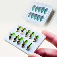 5 uds/10 Uds pesca moscas húmedas cabeza de cuentas de latón biónicos Ninfa Scud mosca insecto gusano insecto artificial pesca con mosca cebo salmón trucha BassFishing gancho señuelo de pesca con mosca - details 0